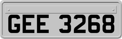 GEE3268