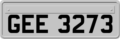 GEE3273
