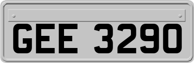 GEE3290