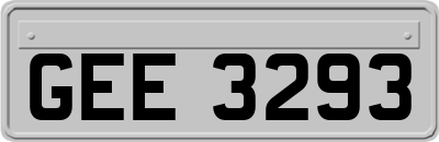GEE3293