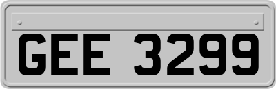 GEE3299