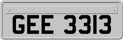 GEE3313