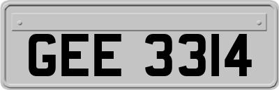 GEE3314
