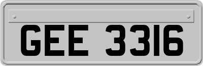 GEE3316