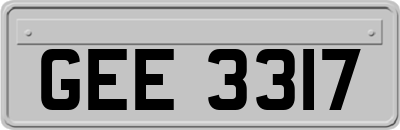 GEE3317