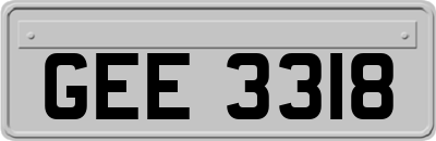 GEE3318