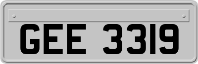 GEE3319