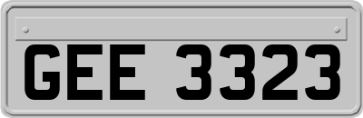GEE3323