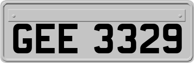 GEE3329