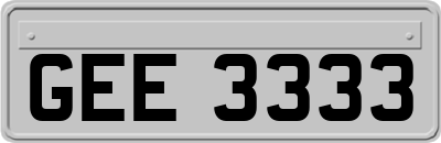 GEE3333