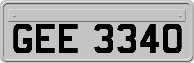 GEE3340