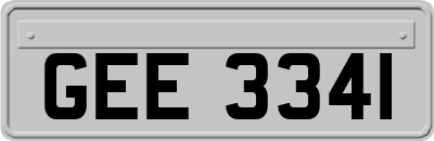 GEE3341