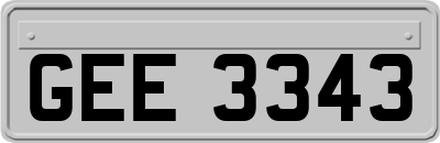 GEE3343