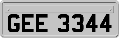 GEE3344