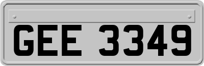 GEE3349