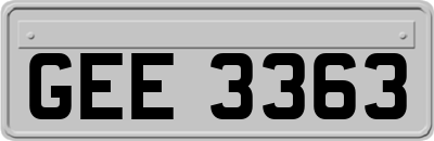 GEE3363