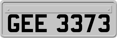 GEE3373