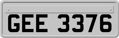 GEE3376