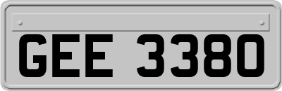 GEE3380