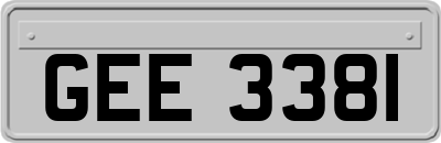 GEE3381