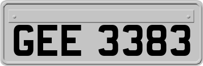 GEE3383