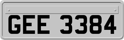 GEE3384