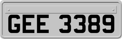 GEE3389