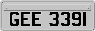 GEE3391