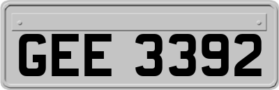 GEE3392