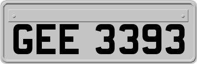 GEE3393