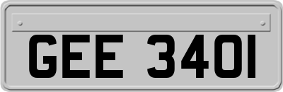 GEE3401