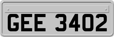 GEE3402