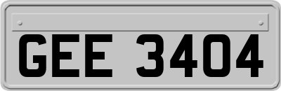 GEE3404