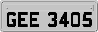 GEE3405