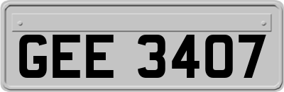 GEE3407