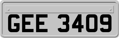 GEE3409