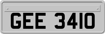 GEE3410