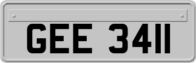 GEE3411