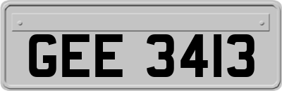 GEE3413