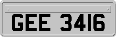 GEE3416