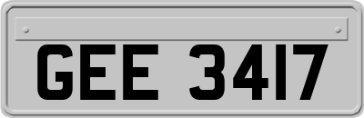 GEE3417