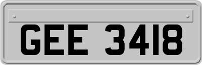 GEE3418