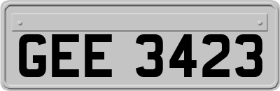 GEE3423