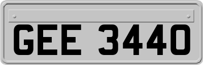 GEE3440