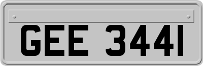 GEE3441