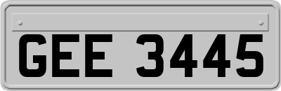 GEE3445