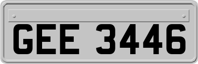GEE3446