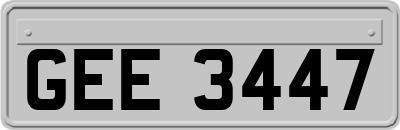 GEE3447