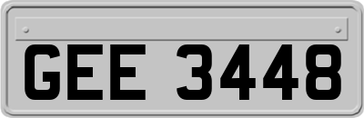 GEE3448