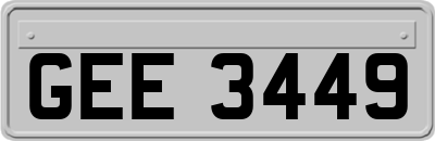 GEE3449